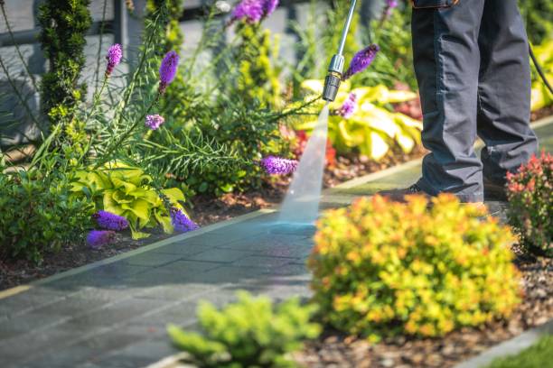 Best Dumpster Area Cleaning  in Daytona Beach, FL